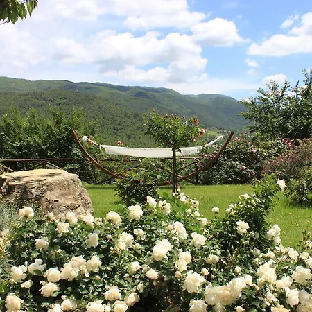 Torre Del Falco Casa rural