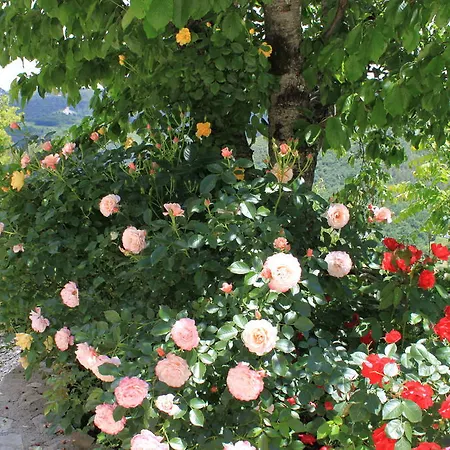 Casa rural Torre Del Falco