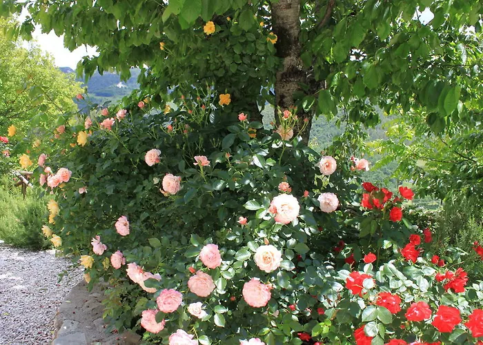 Country house Torre Del Falco